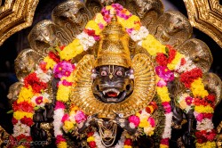Daily Darshan