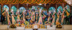 Daily Darshan