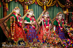 Daily Darshan