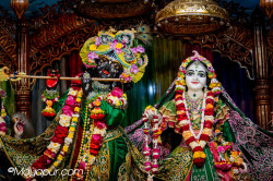 Daily Darshan