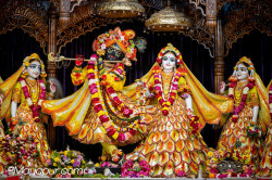 Daily Darshan
