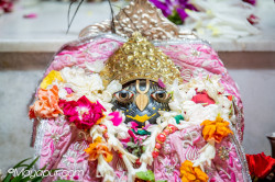 Daily Darshan