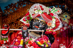 Daily Darshan