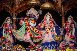 Daily Darshan