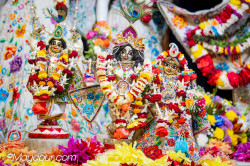 Daily Darshan