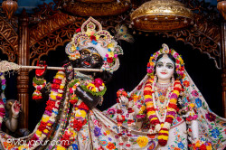 Daily Darshan