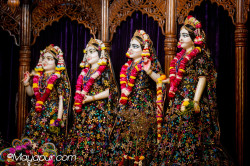 Daily Darshan