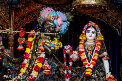 Daily Darshan