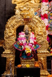 Daily Darshan