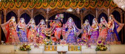 Daily Darshan