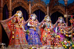 Daily Darshan