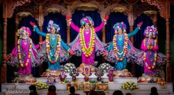 Daily Darshan