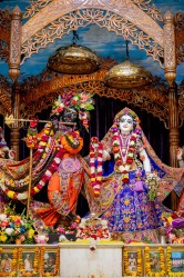 Daily Darshan