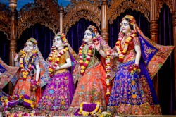 Daily Darshan