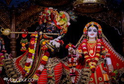 Daily Darshan