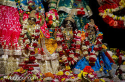 Daily Darshan