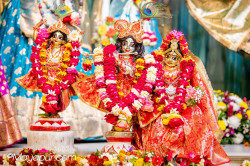 Daily Darshan