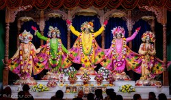 Daily Darshan