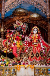 Daily Darshan