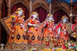 Daily Darshan