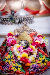 Daily Darshan