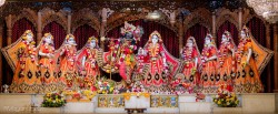 Daily Darshan