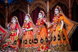 Daily Darshan