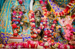 Daily Darshan