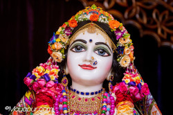 Daily Darshan