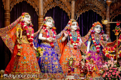 Daily Darshan
