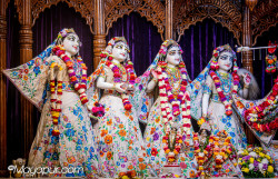 Daily Darshan