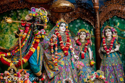 Daily Darshan