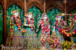 Daily Darshan