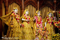 Daily Darshan
