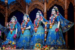 Daily Darshan