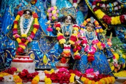 Daily Darshan