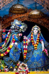 Daily Darshan