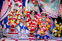 Daily Darshan