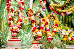 Daily Darshan