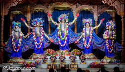 Daily Darshan