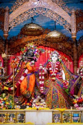 Daily Darshan