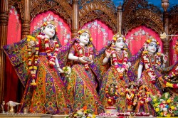Daily Darshan