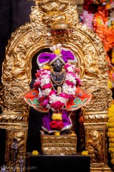 Daily Darshan