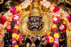 Daily Darshan