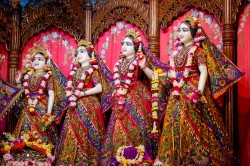 Daily Darshan