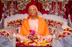 Daily Darshan