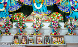Daily Darshan