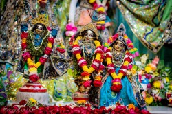 Daily Darshan