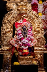 Daily Darshan