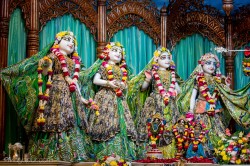 Daily Darshan